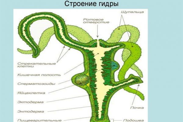 Kraken ссылка tor