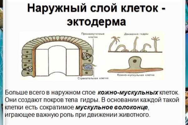 Кракен сайт в тор браузере ссылка